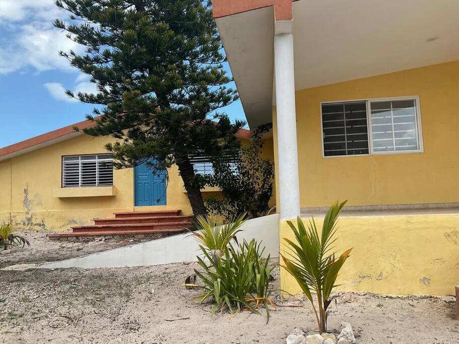 La Casa Amarilla Frente Al Mar Villa Chelem Luaran gambar